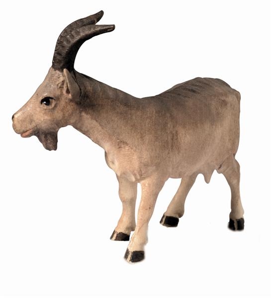 Ziege Ziege