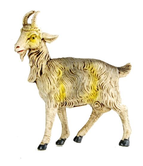 Ziege stehend