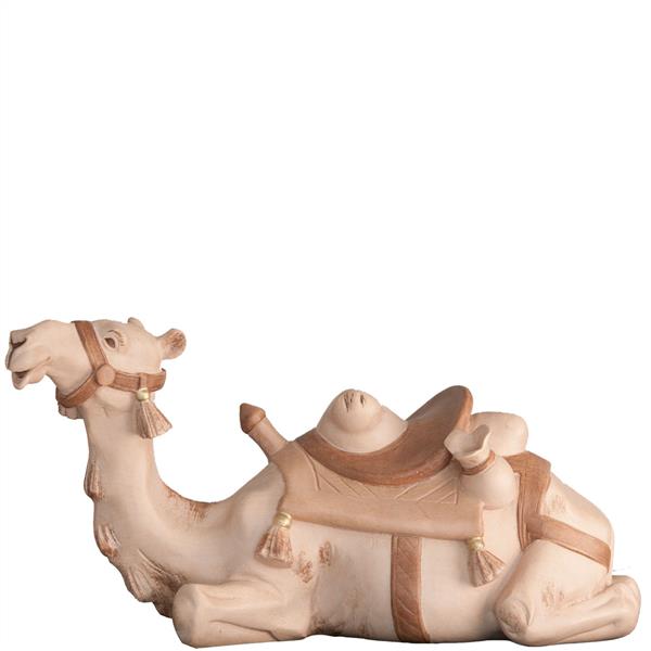 Kamel liegend Kamel liegend