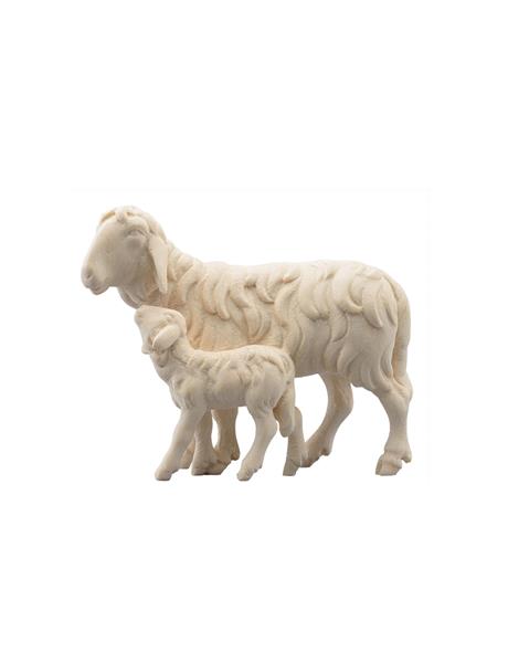 Schaf laufend mit Lamm Schaf laufend mit Lamm