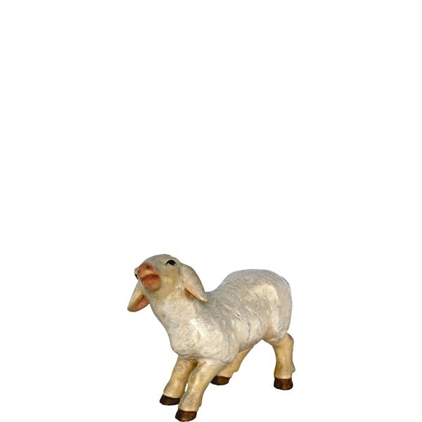 Lämmchen stehend Lämmchen stehend