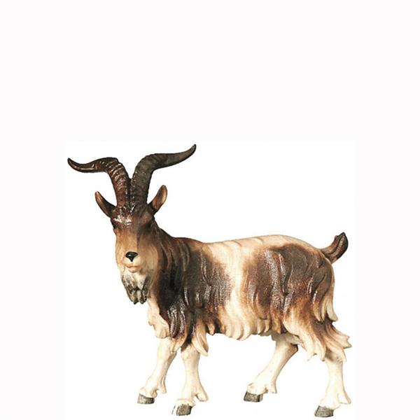 Ziegenbock stehend