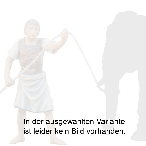 Elefantentreiber Elefantentreiber