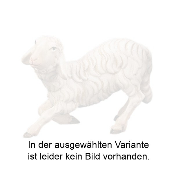 Kniendes Schaf Kniendes Schaf