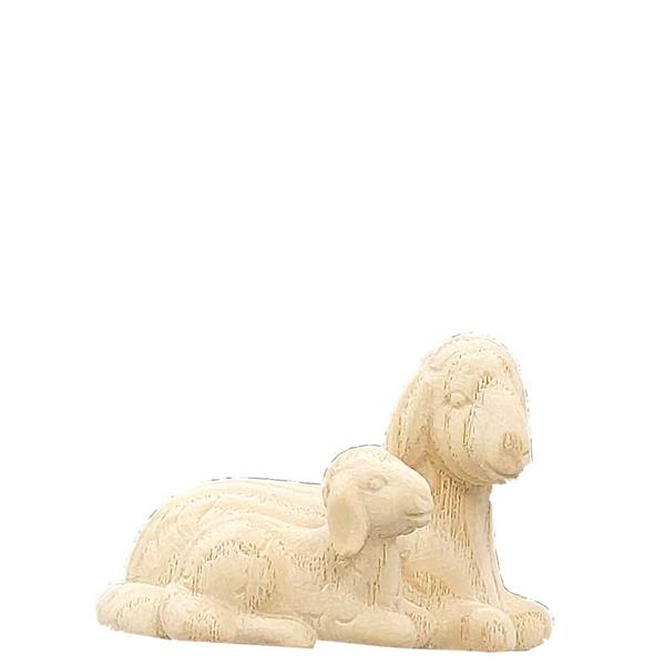 Schafgruppe liegend Schafgruppe liegend