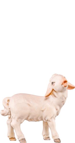 Lamm stehend Artis Lamm stehend Artis