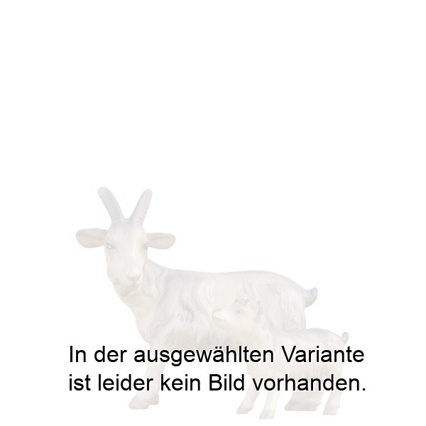 Ziege mit Kitz Ziege mit Kitz