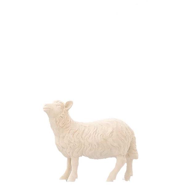 Schaf Kopf hoch ohne Sockel Schaf Kopf hoch ohne Sockel