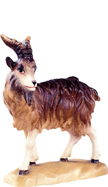 Ziegenbock Ziegenbock