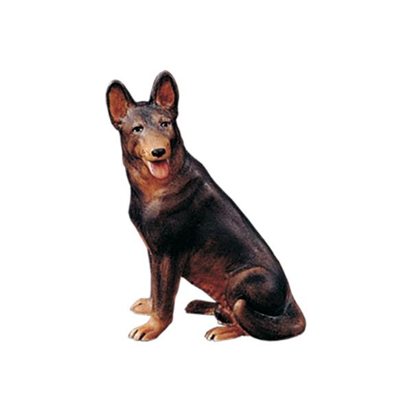 Sitzender Schäferhund Sitzender Schäferhund