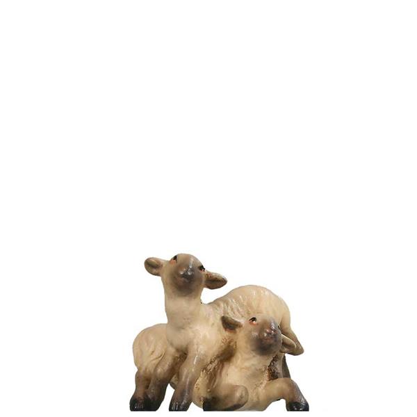 Lämmergruppe SCHWARZ-WEIß Lämmergruppe SCHWARZ-WEIß