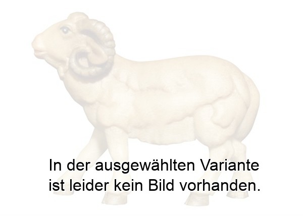 Widder Widder