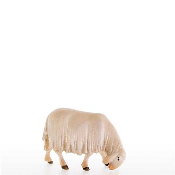 Abweidendes Schaf