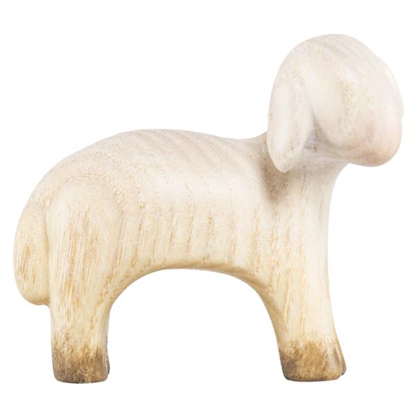 Schaf rechtsschauend Schaf rechtsschauend