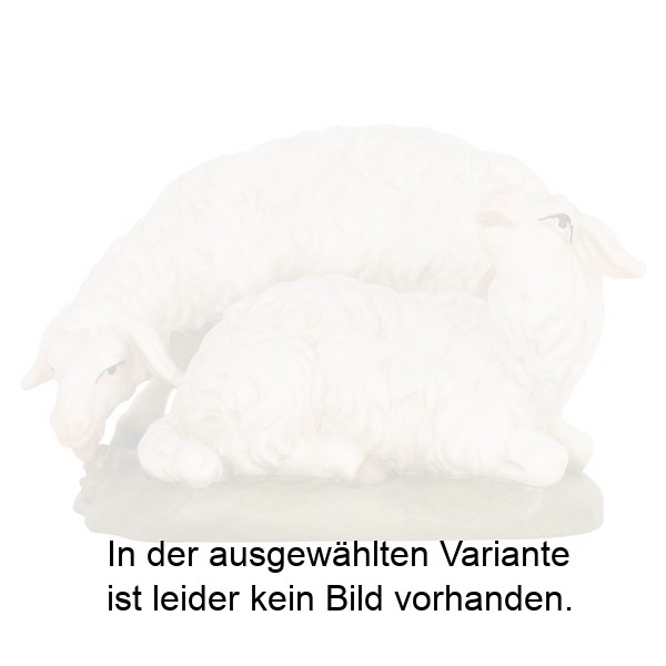 Schafgruppe