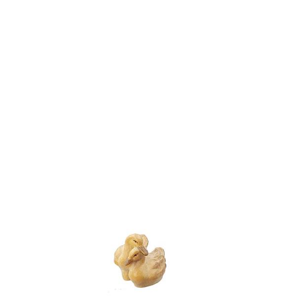 Entengruppe weiß