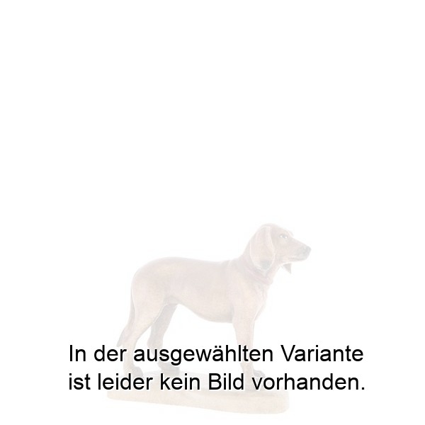 Jagdhund Jagdhund