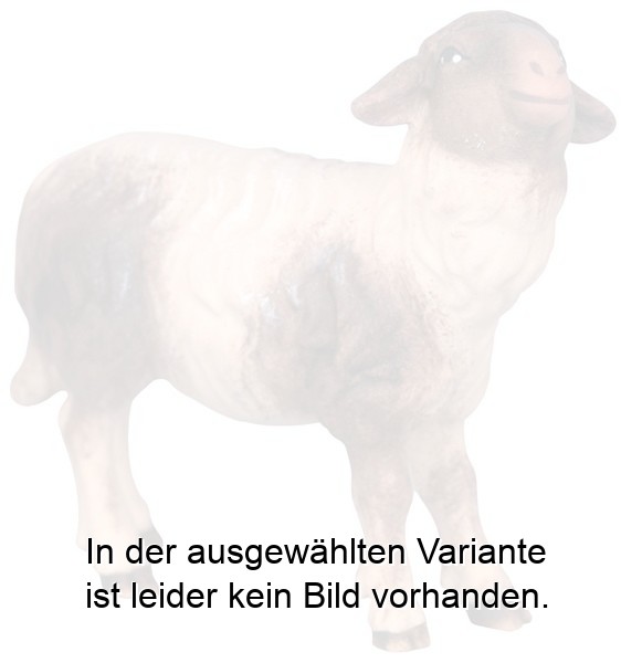 Schaf mit schwarzen Flecken