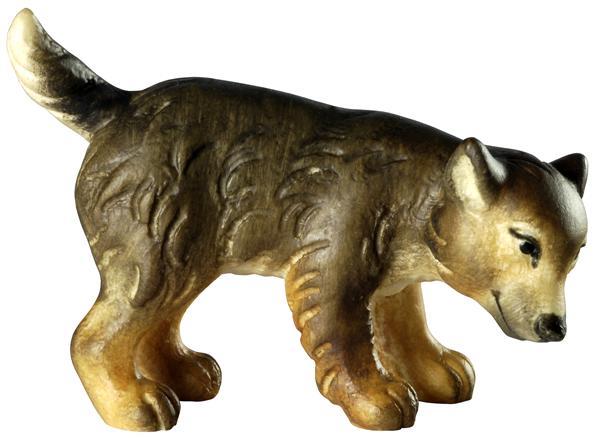 Wolfswelpe - Kopf unten Wolfswelpe - Kopf unten