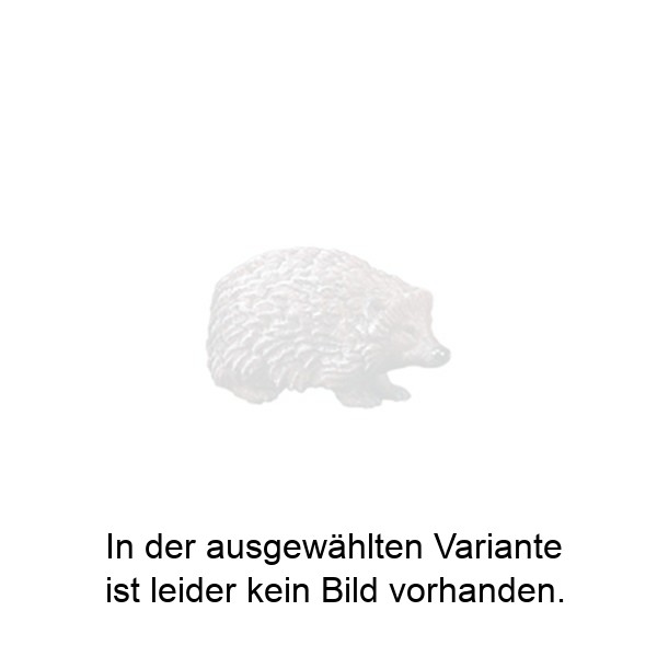 Igel nach unten schauend Igel nach unten schauend