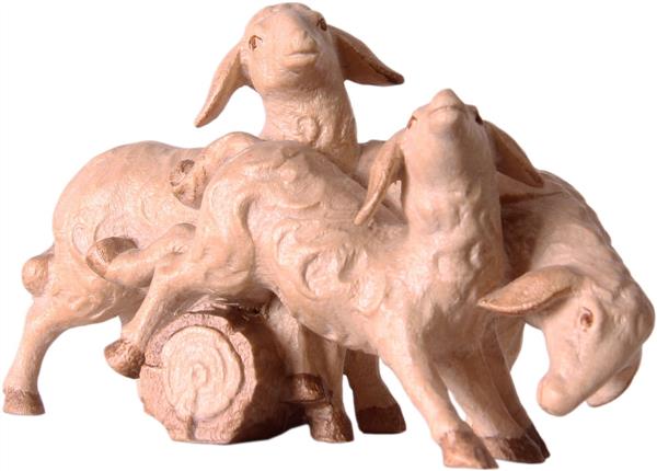 Schafgruppe