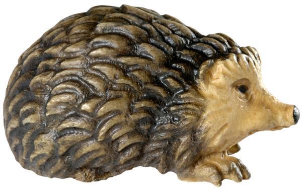 Igel liegend