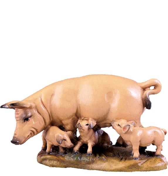 Schweinegruppe