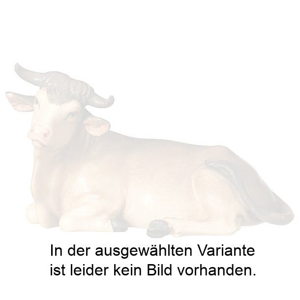 Ochs liegend Ochs liegend