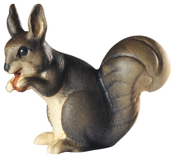 Eichhörnchen sitzend grau Eichhörnchen sitzend grau