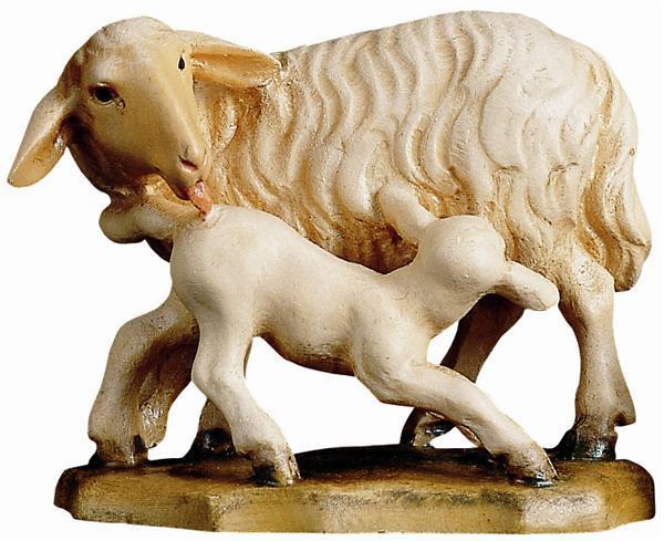 Schafgruppe Schafgruppe