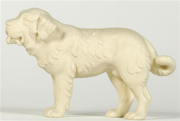 Berner Sennenhund Berner Sennenhund