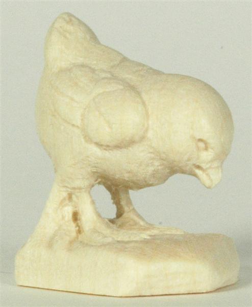 Hühnerküken pickend