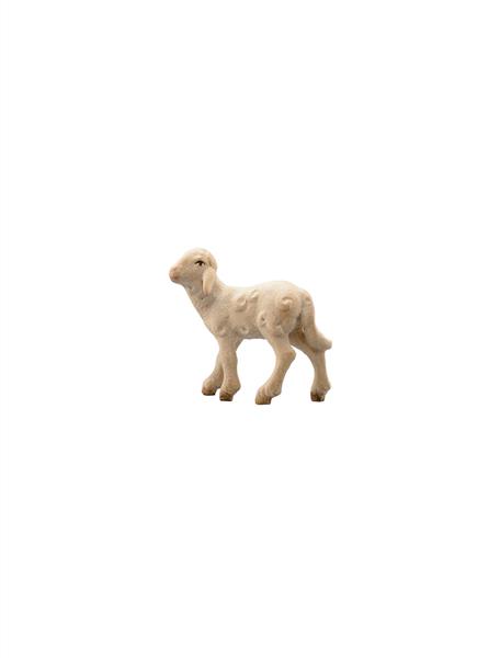 LI Lamm linksschauend