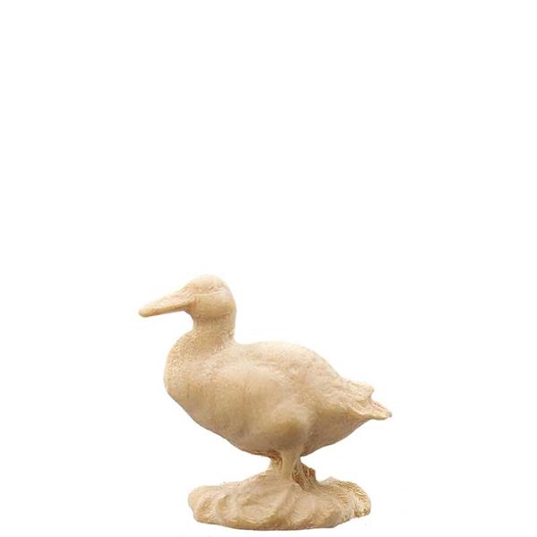 Ente