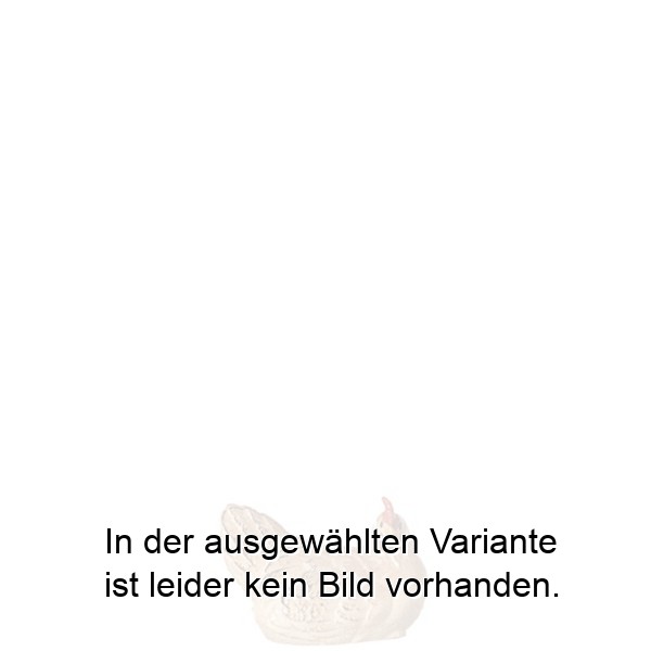Henne brütend