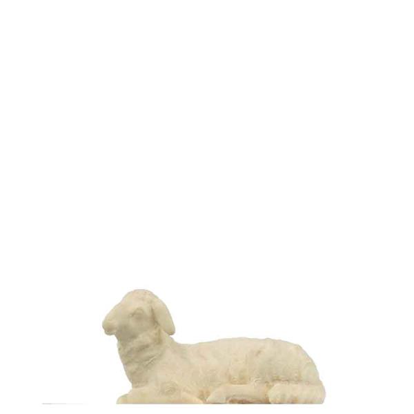 Schaf liegend Schaf liegend