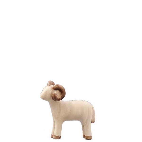 Widder Fides Widder Fides