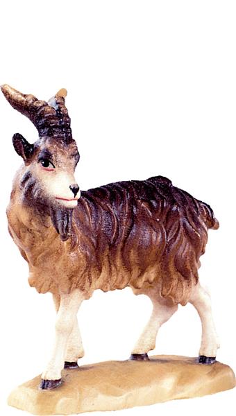 Ziegenbock