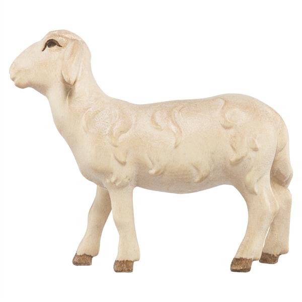 Schaf stehend Schaf stehend