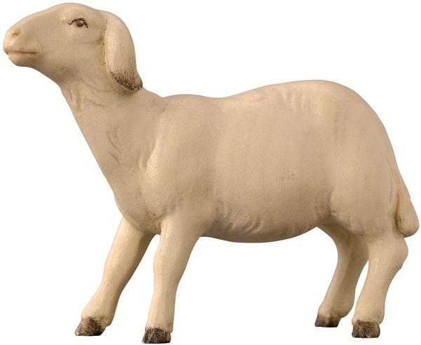 Schaf modern schauend