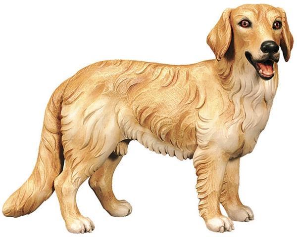 Golden Retriever Golden Retriever