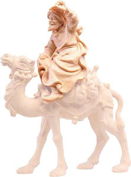 Kamelreiter Kamelreiter