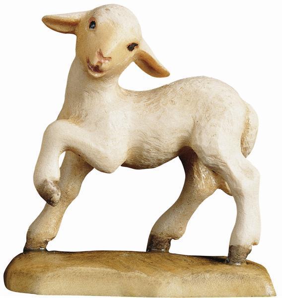 Lamm - Pfote hoch Lamm - Pfote hoch