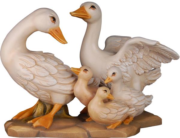 Gänsefamilie