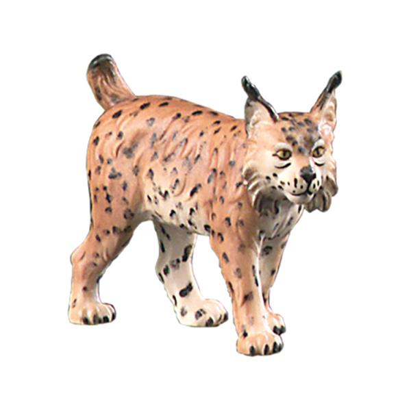 Luchs