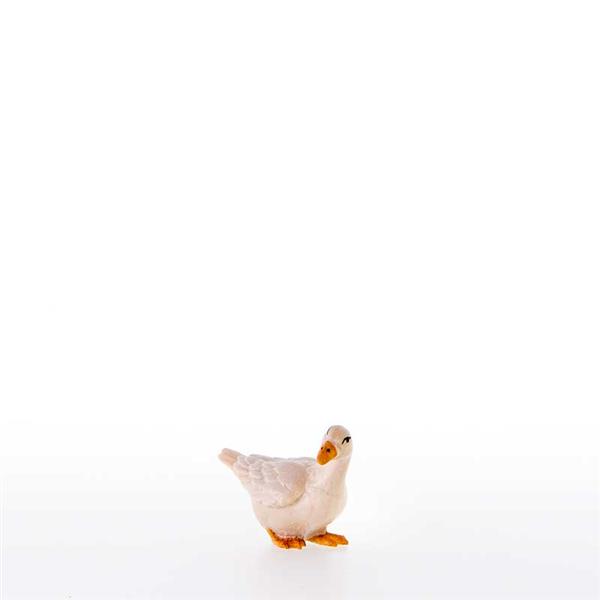 Gans nach links schauend