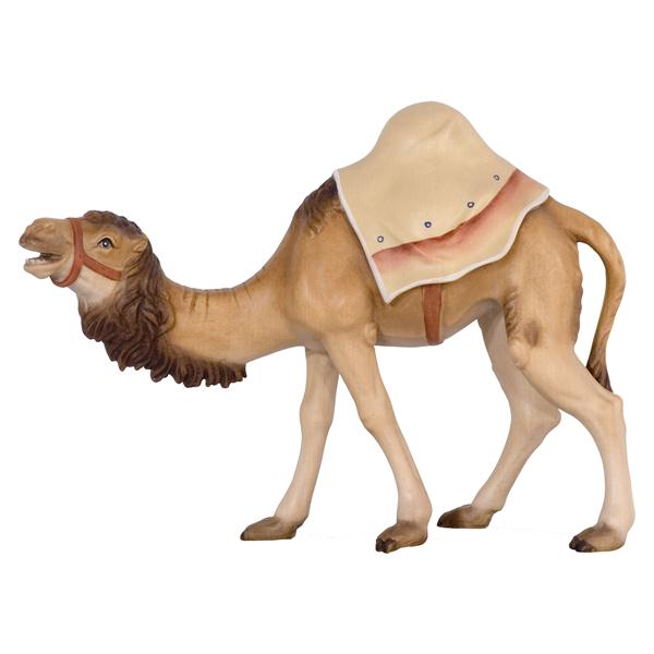 Kamel