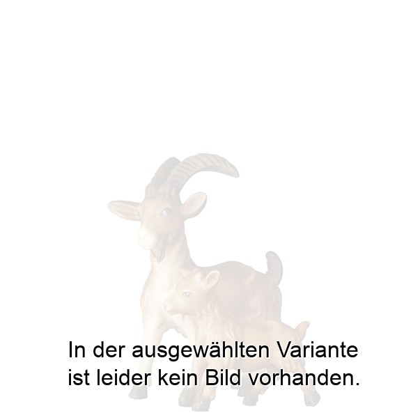 Ziege mit Kitz