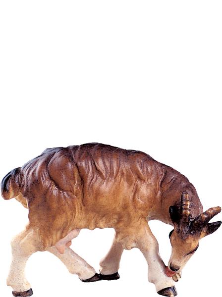 Ziege leckend Ziege leckend