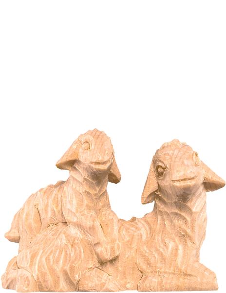 Schafgruppe liegend